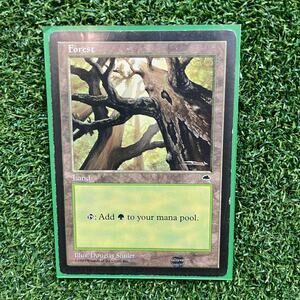 MTG Forest 1997 Douglas Shuler Art Vintage Basic Land Magic Card LP
